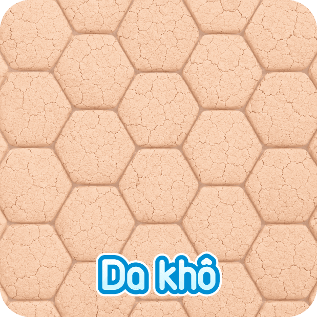 Da khô